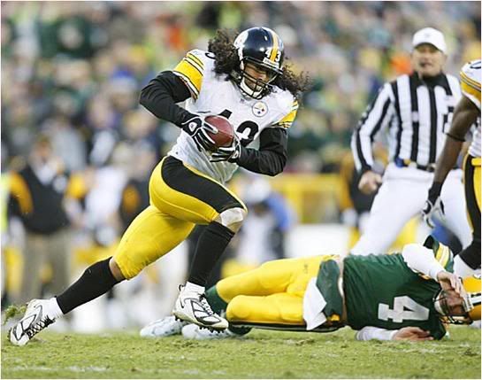 Troy-Polamalu-fumble-return.jpg