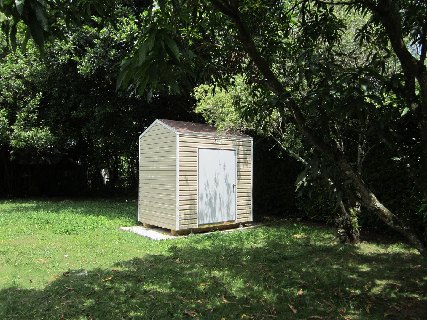 12X20 Shed with Loft