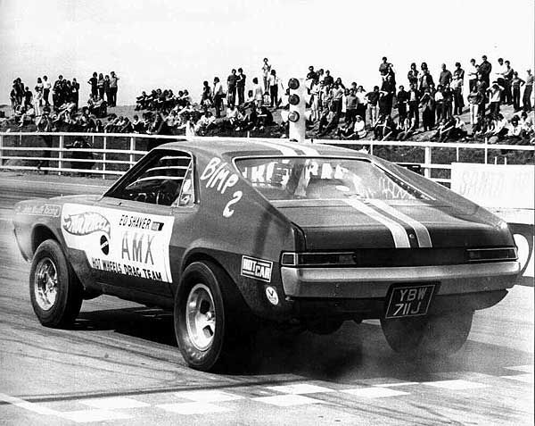 ed shaver amx