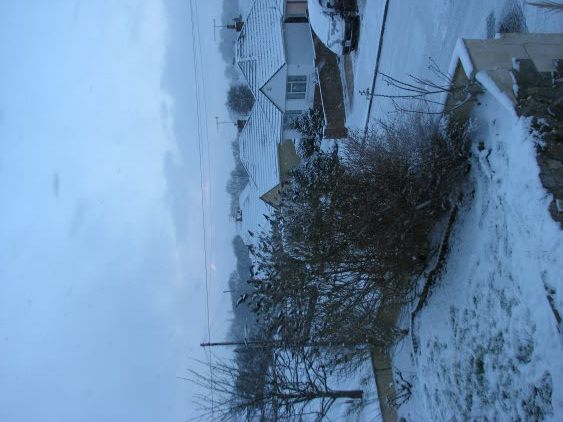Copyofsnow09005.jpg