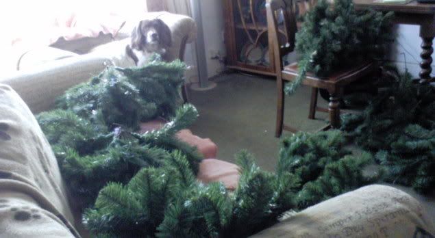 charlieandtree.jpg
