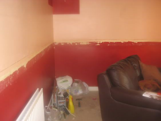 room1.jpg