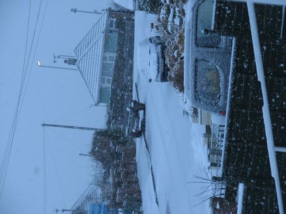 snow09003.jpg