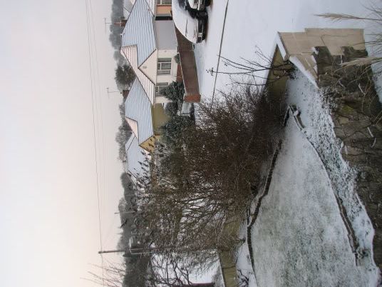 snowmarch.jpg