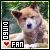 Dingos