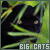 Big Cats