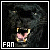 Black Leopards