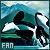 Orca Whales