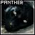 Panthers