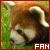 Red Pandas