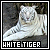 White Tigers