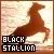 The Black Stallion
