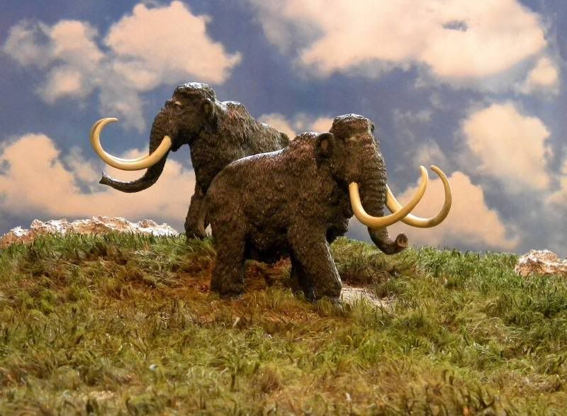 mammoths1800.jpg