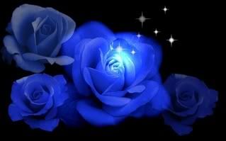 SPARKLE BLUE ROSES small Pictures, Images and Photos