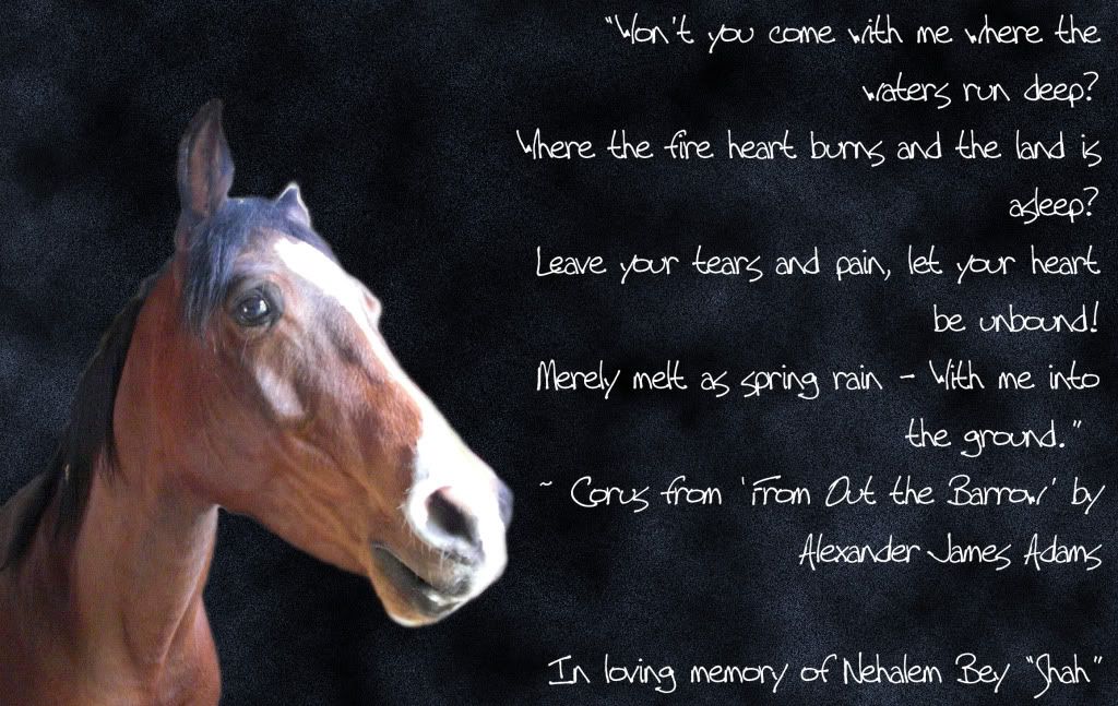 In Memory of Shah