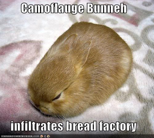 http://i202.photobucket.com/albums/aa316/xo-leasha-ox/Funny%20Pictures/camo.jpg