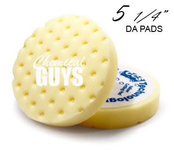 5CCS_yellow.jpg