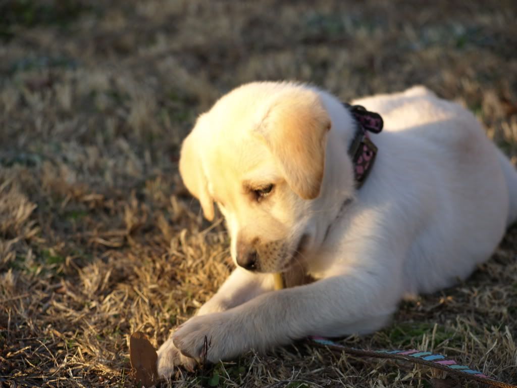 Baby Labs