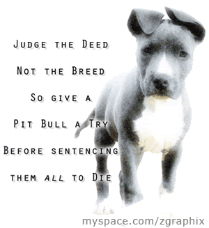 judgepits.gif