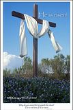 He-Is-Risen-SDG.jpg image by coppier