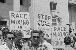 The Rights Revolution And Interracial Marriage Race Mixing 73