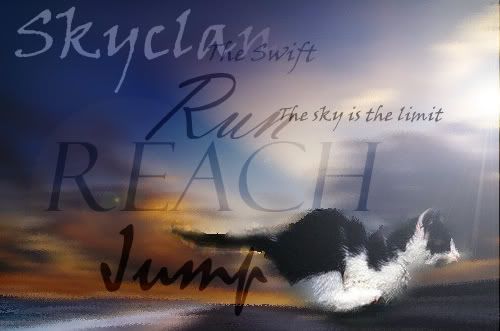 Skyclan Pictures, Images and Photos