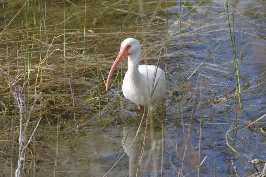 IMAGE: http://i202.photobucket.com/albums/aa68/jrider_1976/IMG_0542.jpg