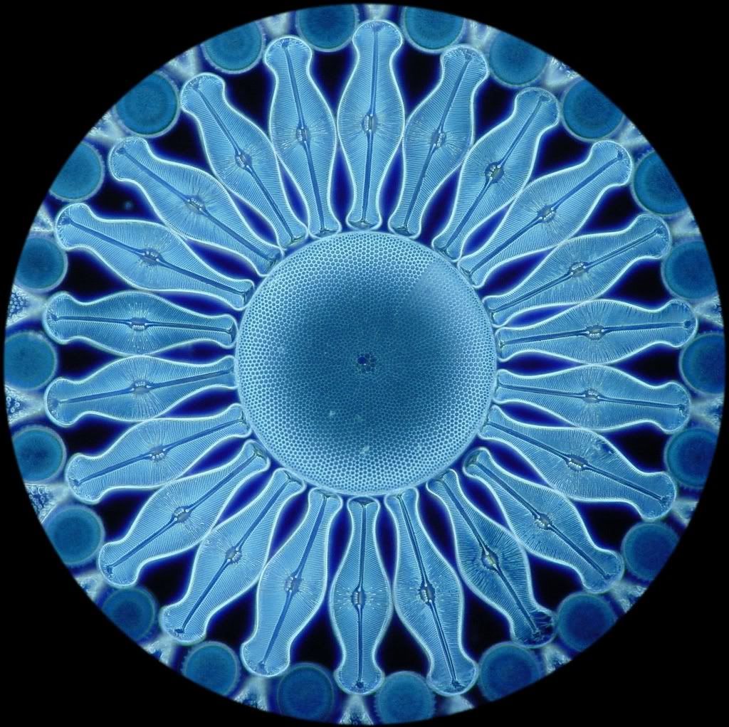 Anyways Ive had an idea for something like this for a while