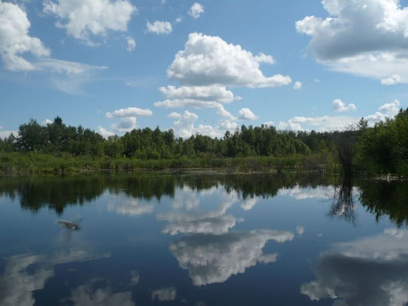 Big Moose Big Bucks I 40 ( Warning lots of pics) Archery Talk Forum