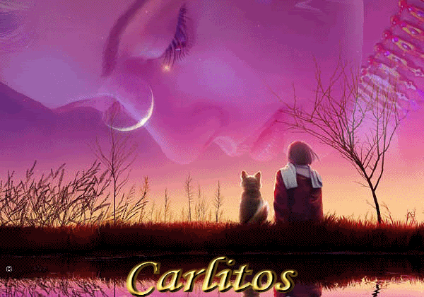 Animationcarlitos.gif picture by Carlitrosneira