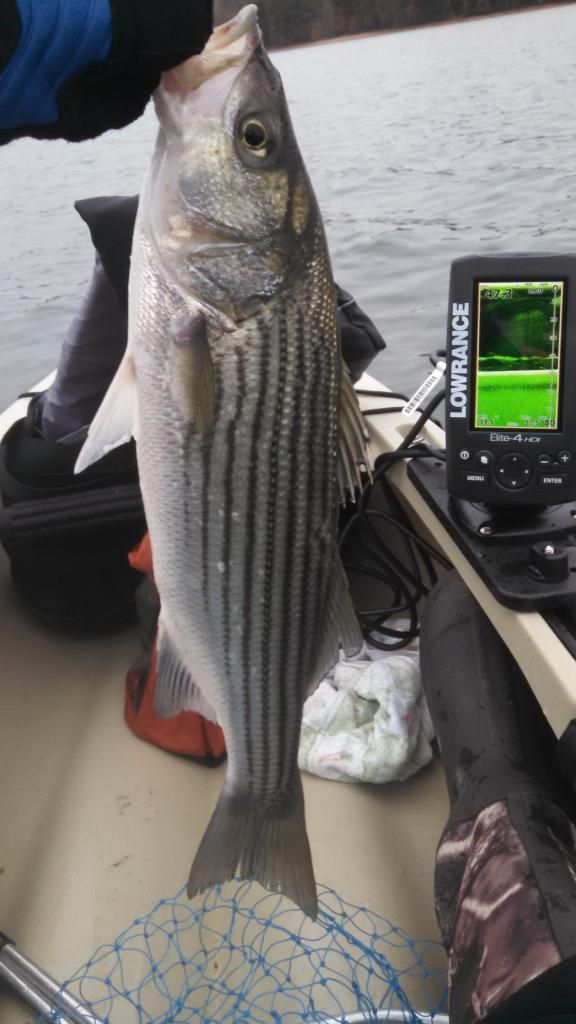  photo IMG_20141116_144930_236.jpg