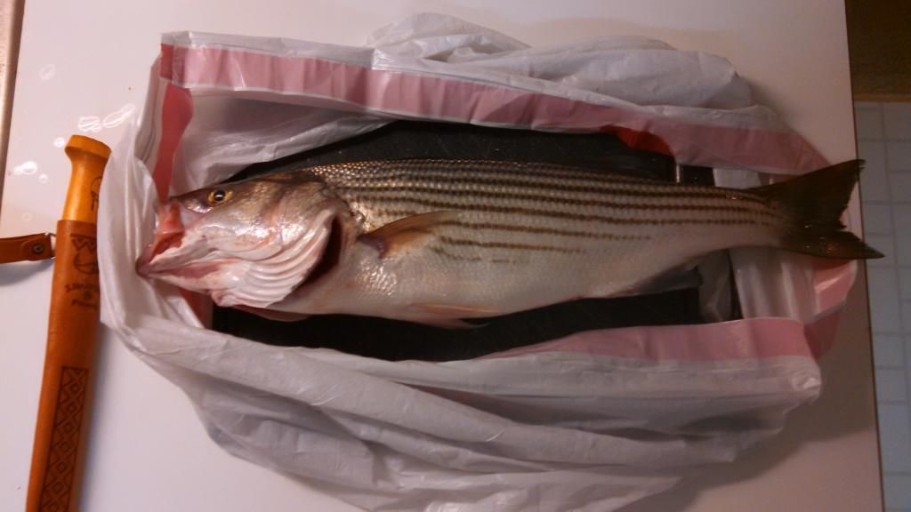  photo IMG_20141116_180922_768.jpg