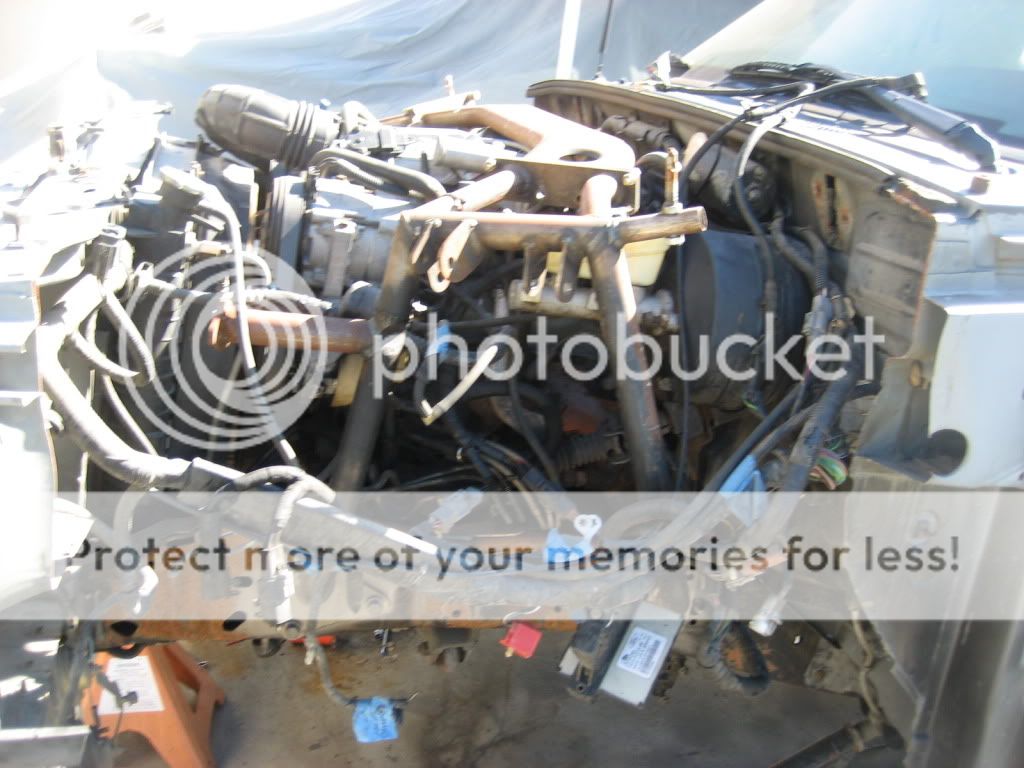 Engine cage ford ranger #3