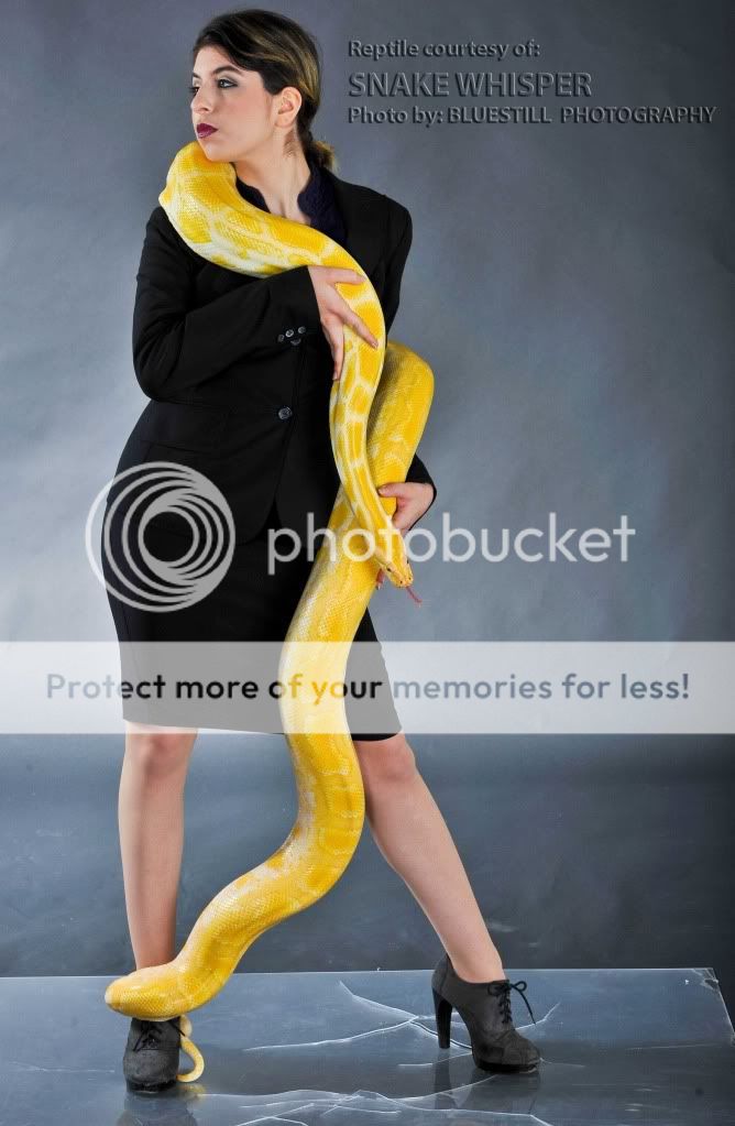 snakes for a shoot