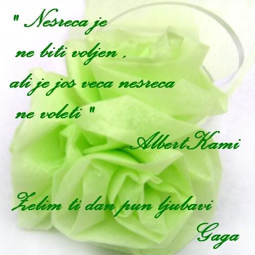 danpunljubavi.jpg